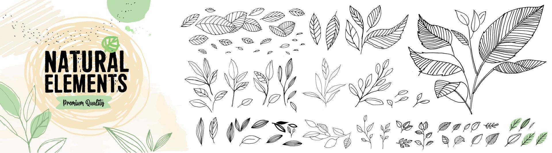 ensemble d'éléments naturels dessinés à la main. concepts d'illustration vectorielle de feuilles pour la conception graphique et web de produits biologiques et naturels, beauté et mode, cosmétiques et bien-être, nourriture et boisson. vecteur