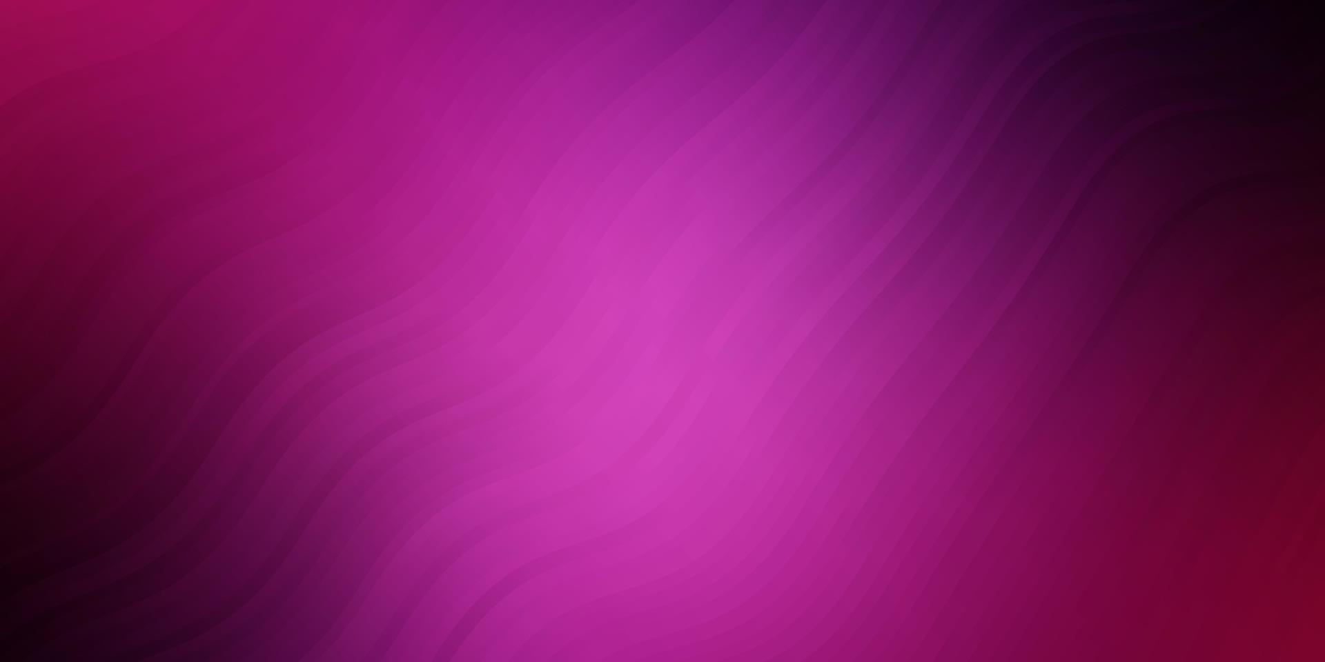 fond de vecteur violet foncé, rose avec des lignes courbes.