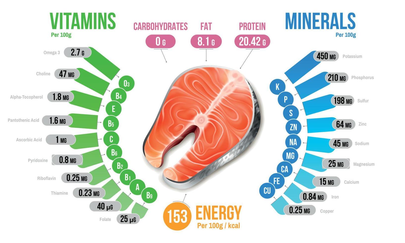 diagramme d'infographie sur les nutriments du saumon vecteur