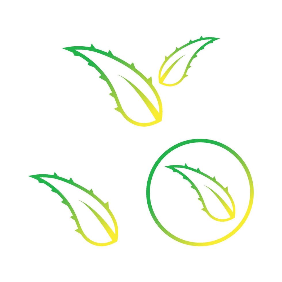 vecteur d'icône de conception de logo d'aloe vera