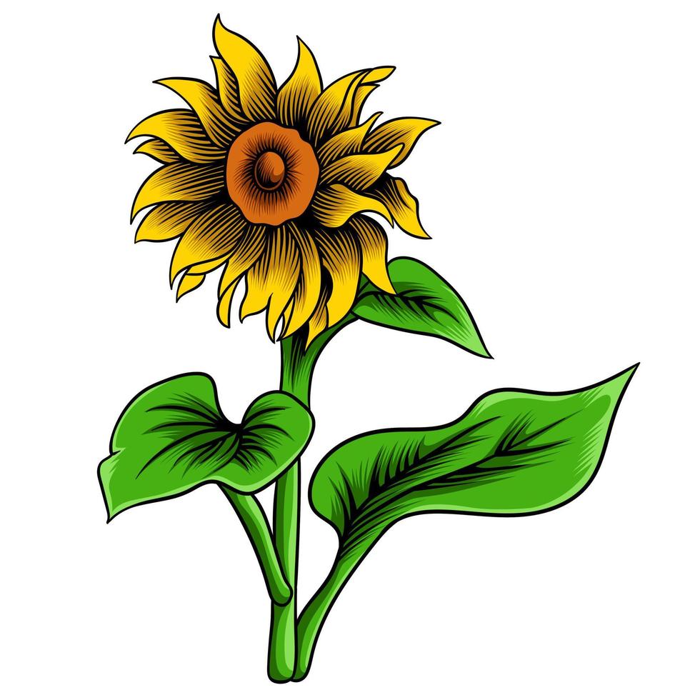 illustration vectorielle de fleur de soleil jaune vecteur