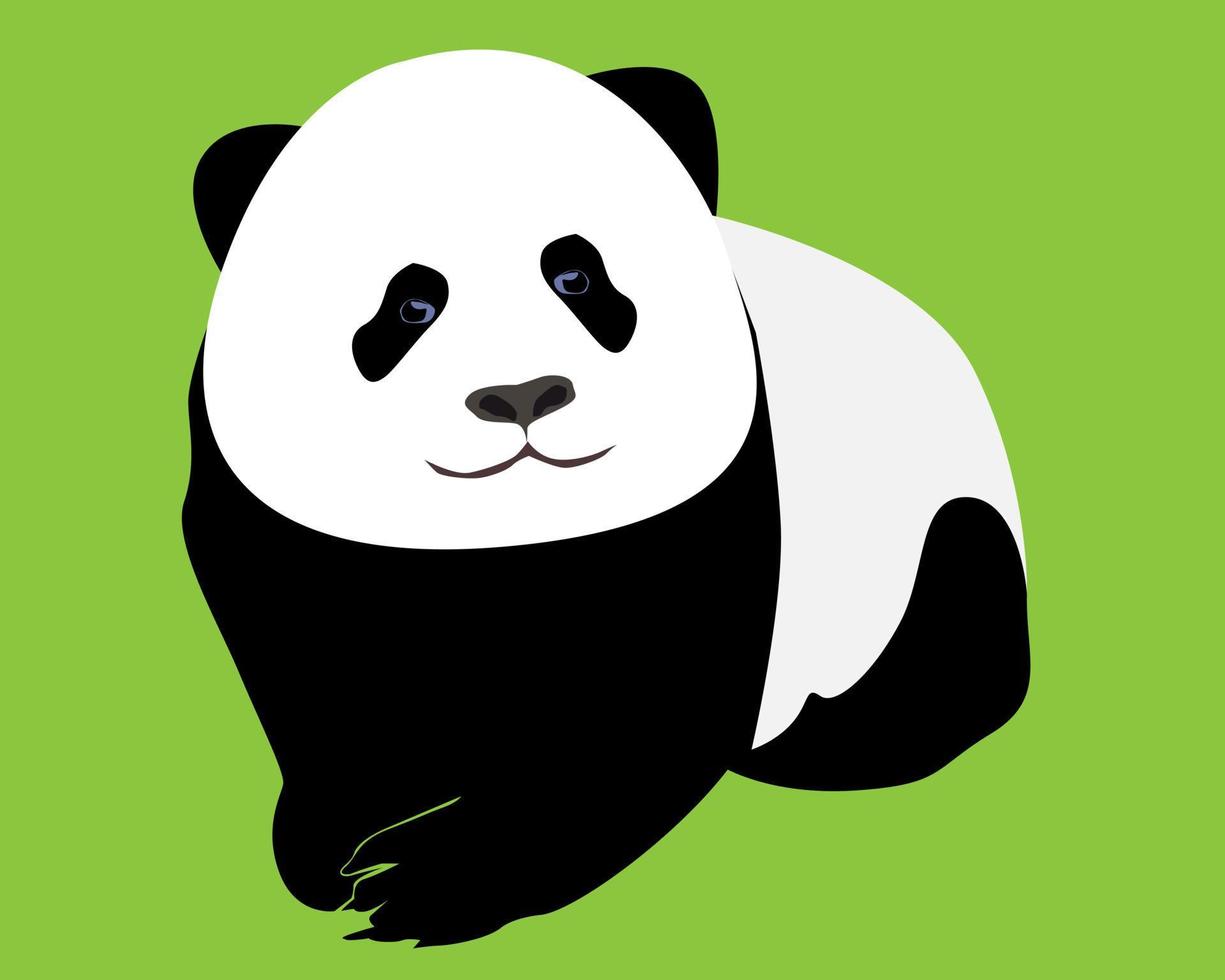 jeune panda sur fond vert clair vecteur