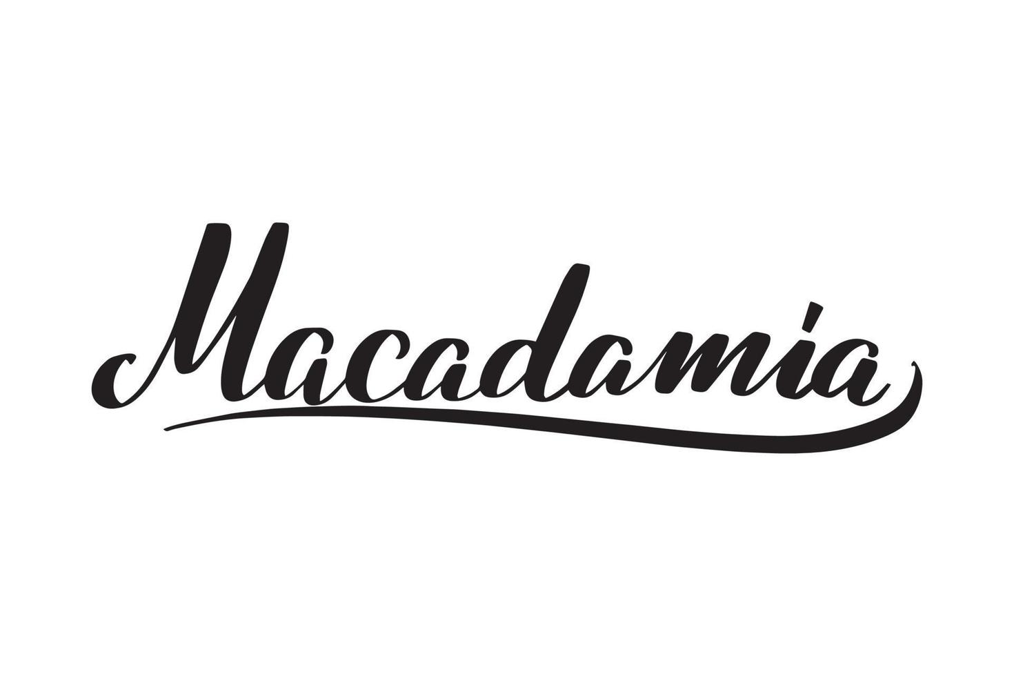 lettrage au pinceau manuscrit inspirant macadamia. illustration de calligraphie vectorielle isolée sur fond blanc. typographie pour bannières, badges, cartes postales, t-shirts, impressions, affiches. vecteur