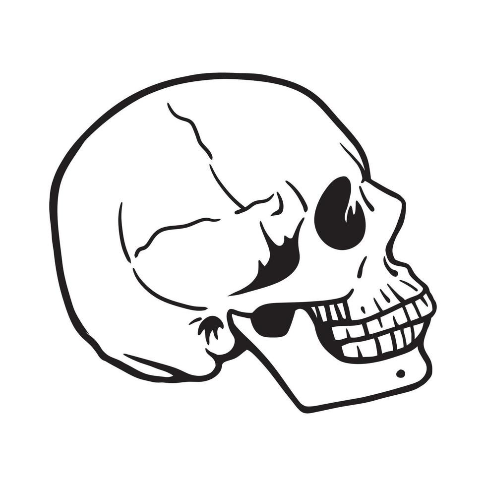 vue latérale d'un crâne de tête humaine. illustration vectorielle noir et blanc vecteur