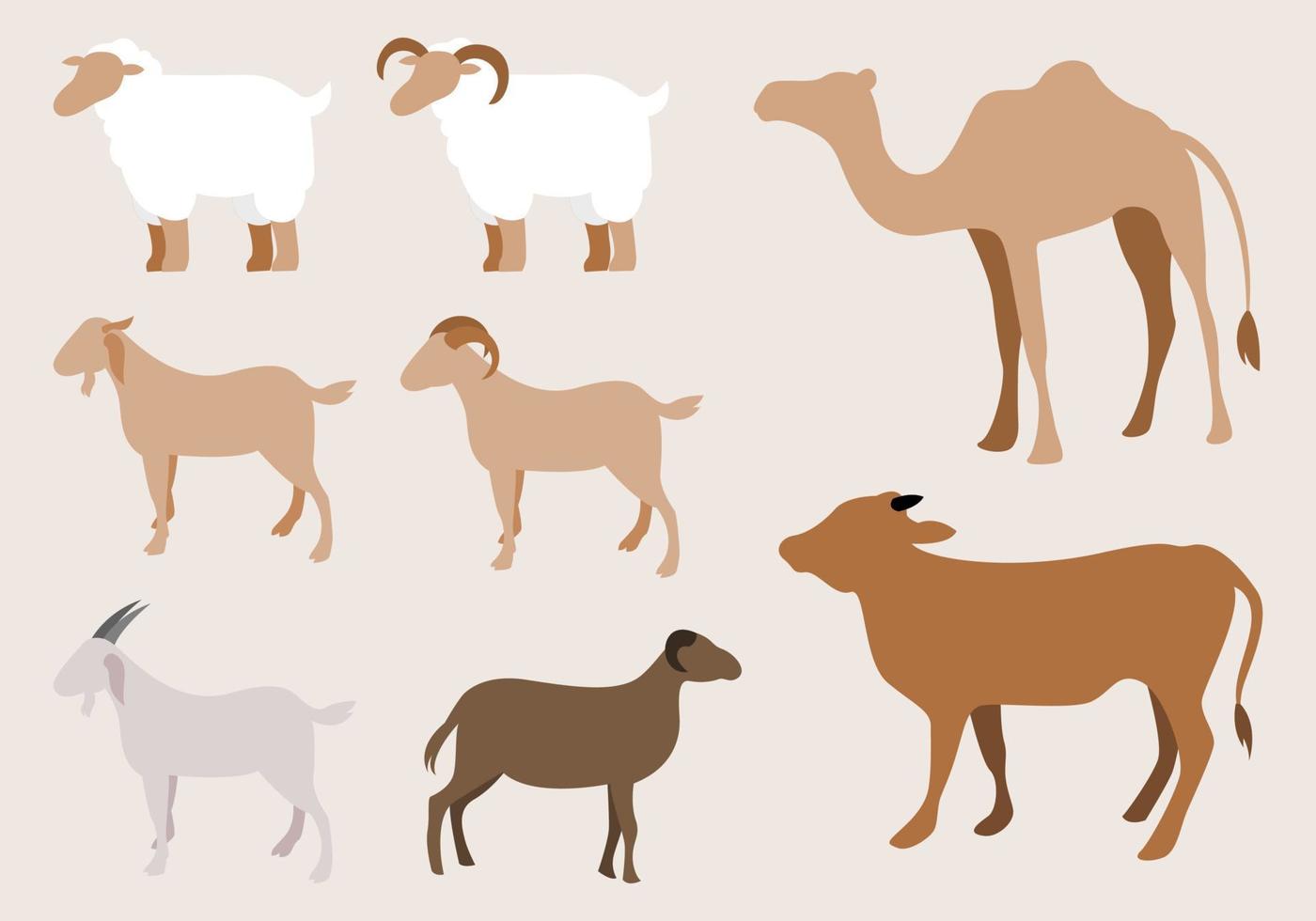 eid al adha vector illustration animal plat simple