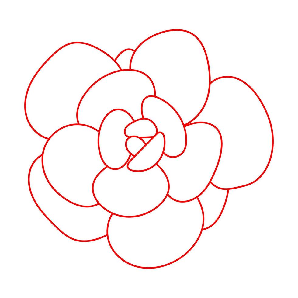 doodle fleur rouge succulente. fleur du désert pour l'impression et le design. vecteur