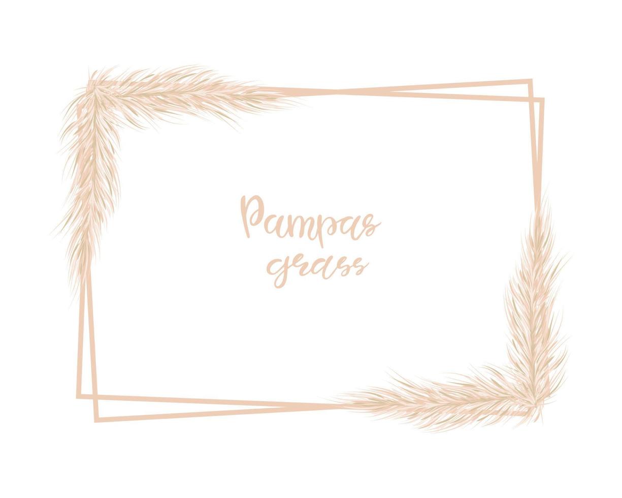 cadre rectangle doux avec herbe de pampa. pour la conception d'invitations de mariage et de cartes postales. illustration vectorielle sur fond blanc vecteur