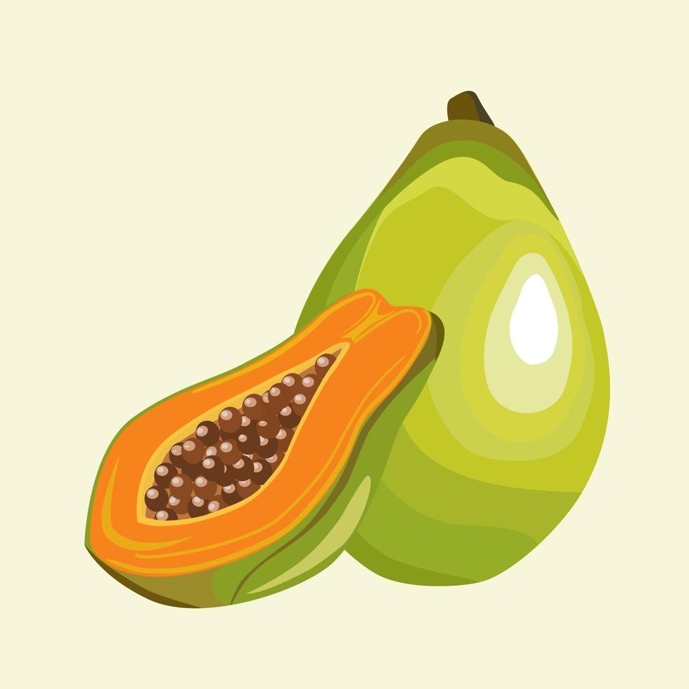 un gros fruit de papaye verte et un morceau de moitié de papaye qui montre des graines brun foncé à l'intérieur. plat, isoler l'image vectorielle. vecteur