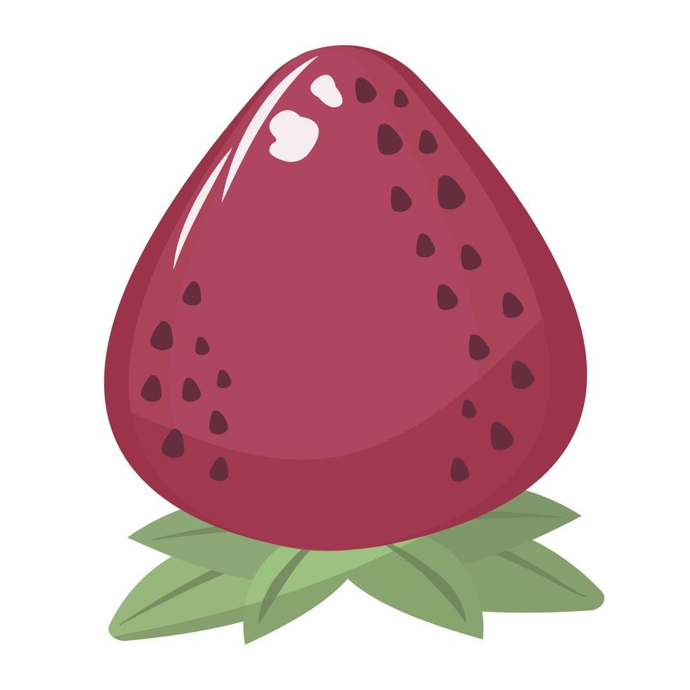 fraise, illustration colorée vecteur