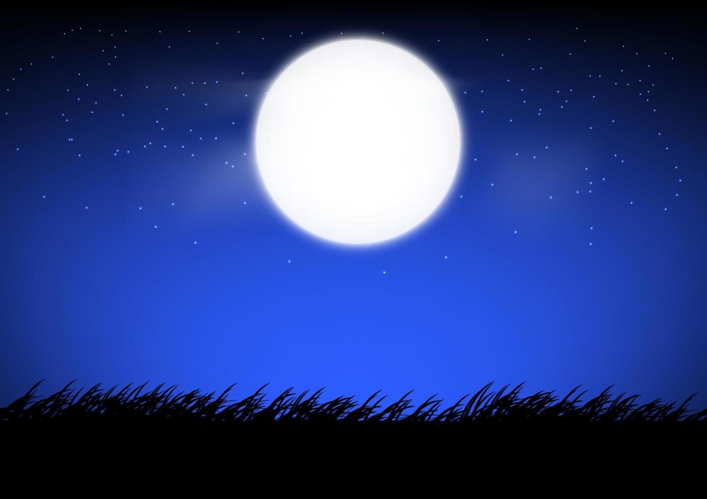 conception graphique la lune et l'étoile du ciel avec vue sur le paysage extérieur de l'herbe la nuit illustration vectorielle vecteur