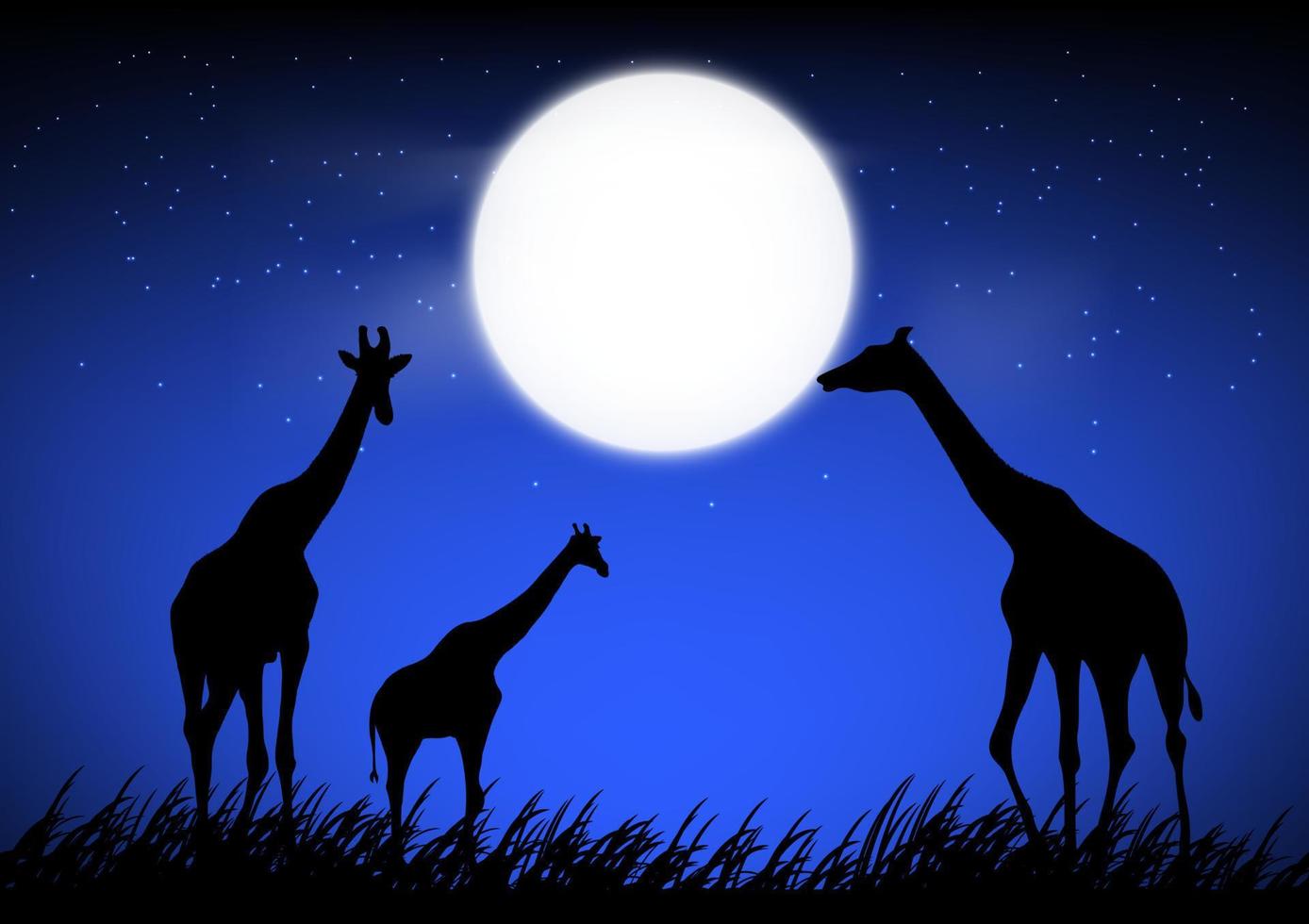 girafe stan sur l'herbe dans la forêt avec fond de lune la nuit conception graphique illustration vectorielle vecteur