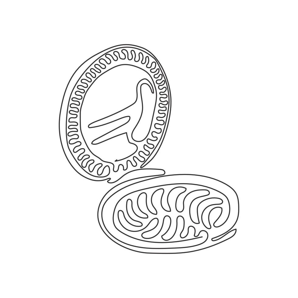 une seule ligne dessinant une boîte de bouffée de poudre de maquillage ouverte. icône de croquis de boîte de poudre compacte. symboles de signe de beauté et de maquillage. style de boucle de tourbillon. illustration vectorielle graphique de conception de ligne continue moderne vecteur