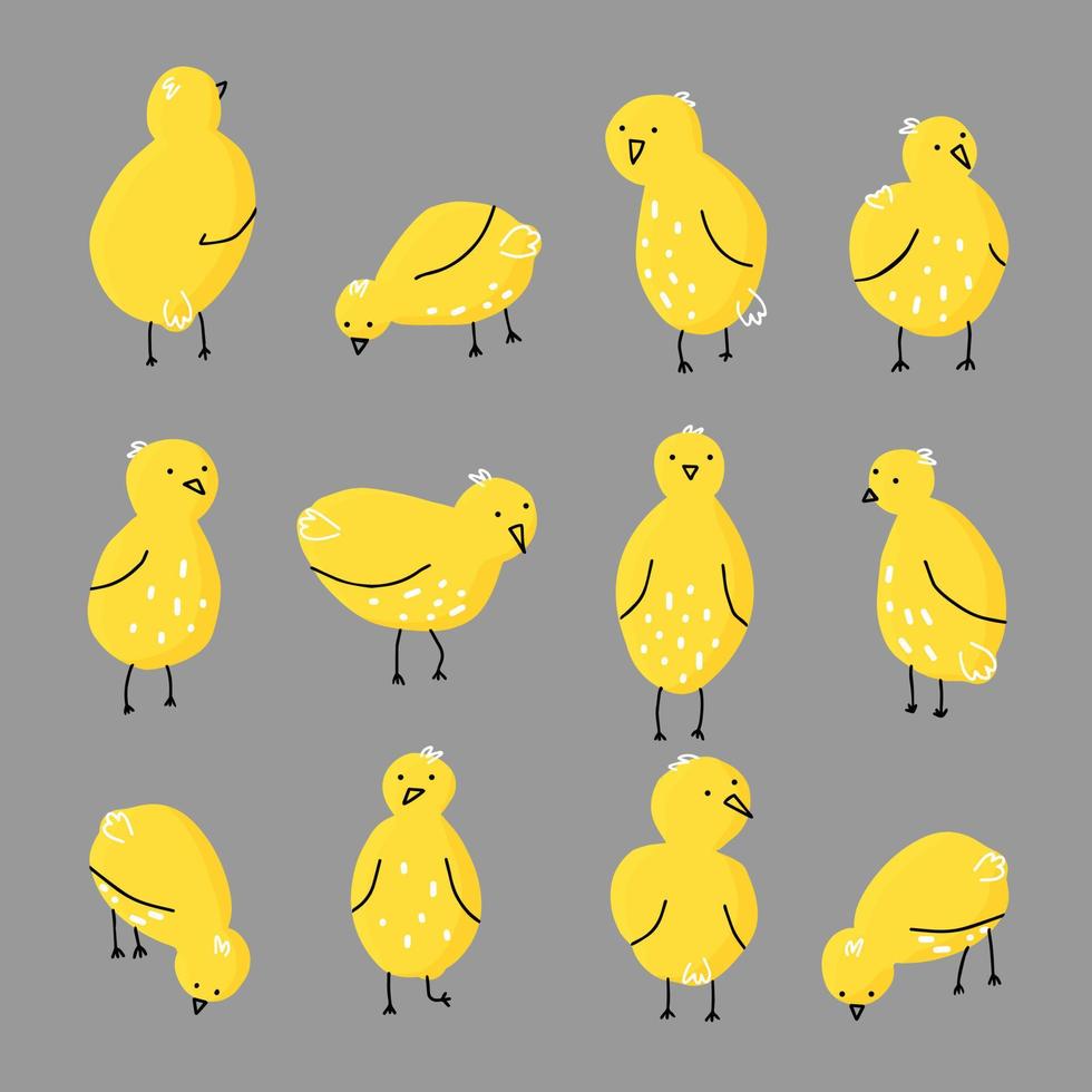 ensemble de mignons poussins jaunes simples dans différentes poses vecteur isolé dessin à la main