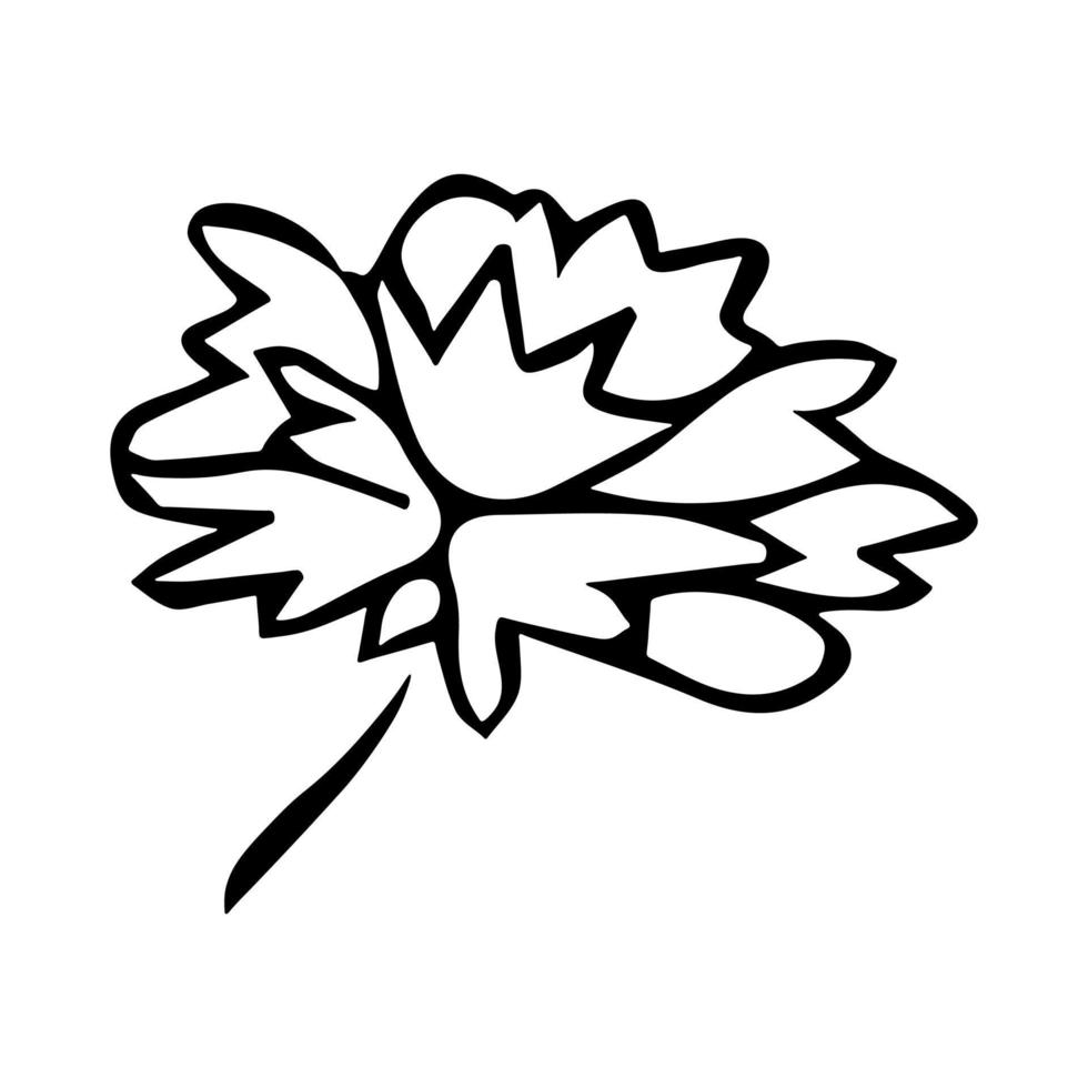vecteur fleur simple doodle clipart. illustration florale dessinée à la main. pour l'impression, le web, le design, la décoration, le logo.
