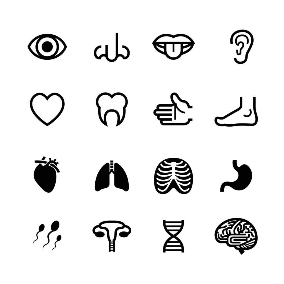 icônes d'anatomie humaine avec fond blanc vecteur