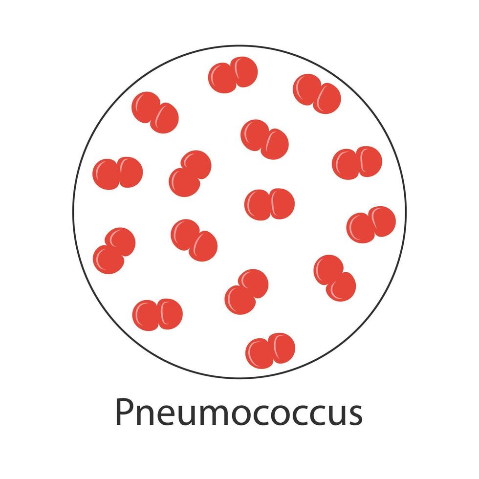 infection pneumococcique, signe vectoriel, pictogramme coloré de cellules bactériennes pneumococciques isolées sur blanc. conception plate vecteur