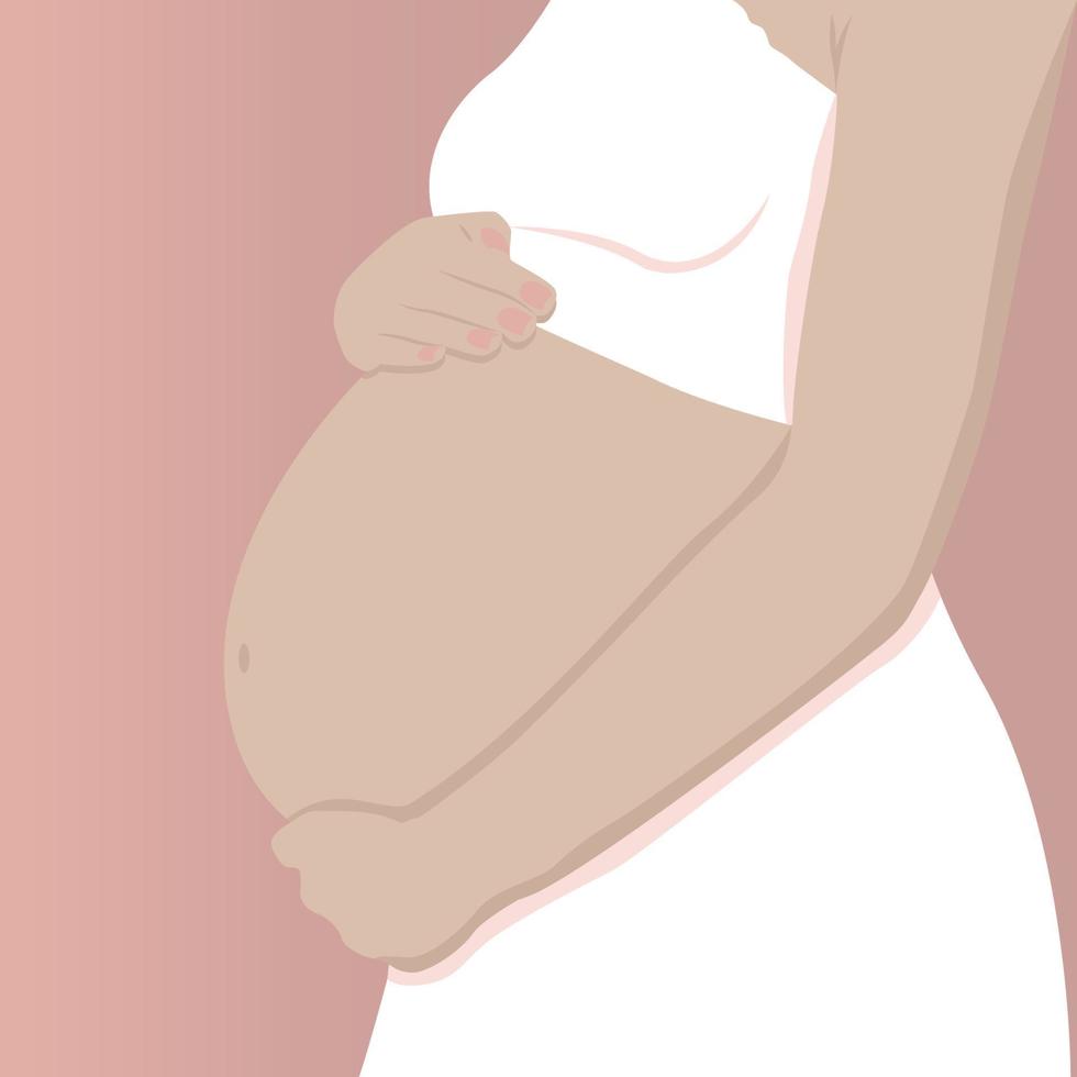 femme enceinte étreint le ventre avec la silhouette des mains vecteur