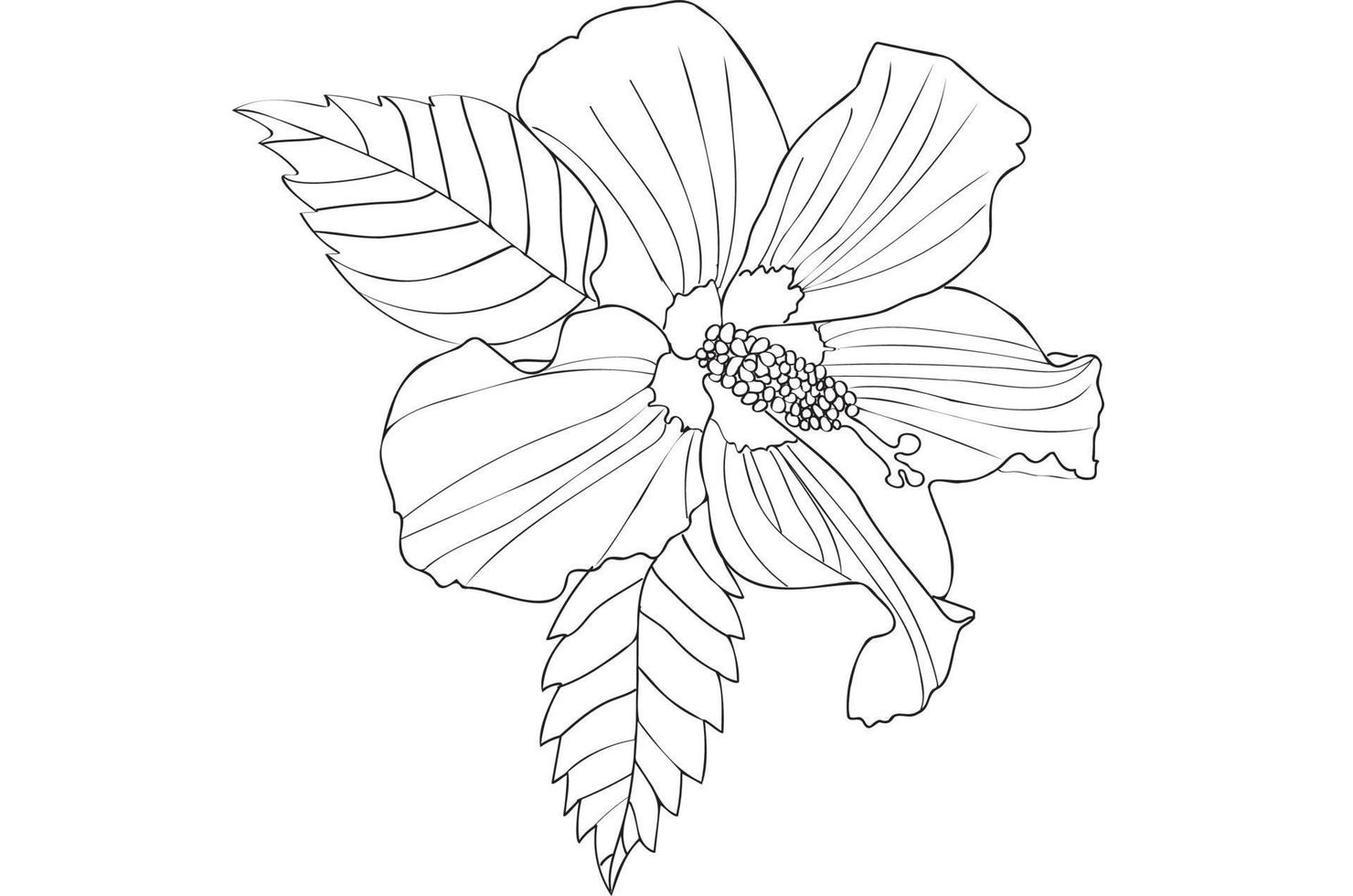 fleur d'hibiscus avec des feuilles, peinte en noir et blanc, conçue pour les cartes postales et autres vecteur