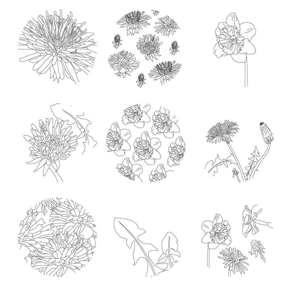 ensemble de couvertures en surbrillance, icônes botaniques florales abstraites pour les médias sociaux. illustration vectorielle. un ensemble de faits saillants de l'histoire couvre les icônes. design floral élégant vecteur