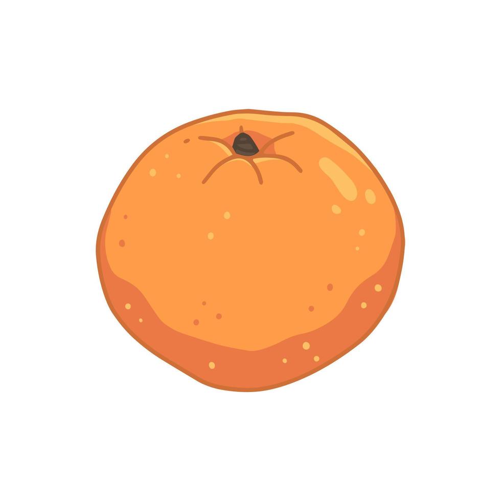 une orange en style cartoon. illustration vectorielle de fruits isolés. vecteur