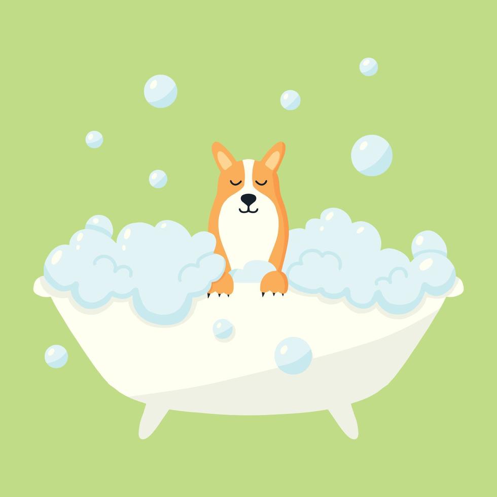 chien dans un bain moussant. s'occuper d'un animal. baigner le chien dans la salle de bain. illustration vectorielle en style cartoon. vecteur