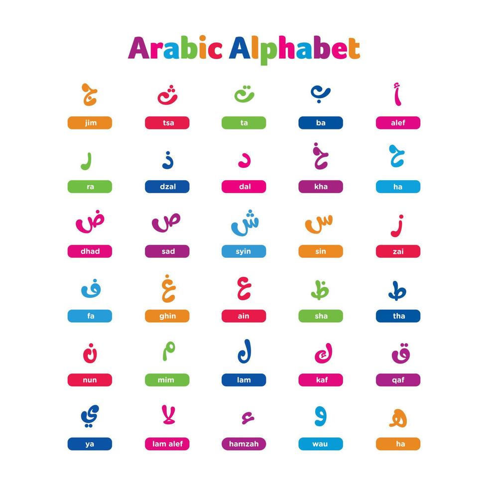 illustration vectorielle alphabet arabe coloré vecteur