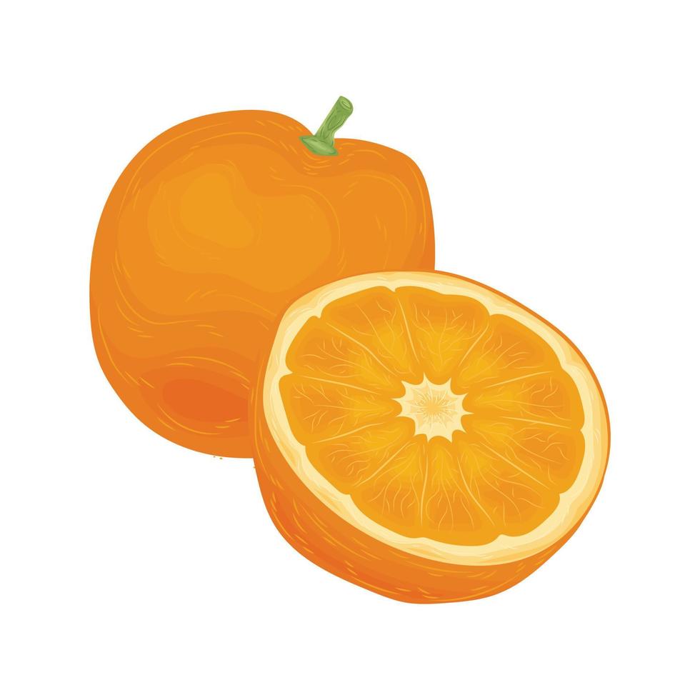 orange vitamine vecteur végétarien jus de fruits dessin animé mignon élément été saison saveur mandarin art