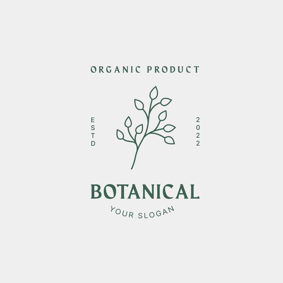 modèle de conception de logo botanique, huile d'olive, logo floral, logo féminin, vecteur premium de logo de beauté