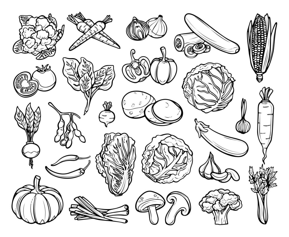 légumes dessinés à la main dans un vecteur de style doodle isolé sur fond blanc