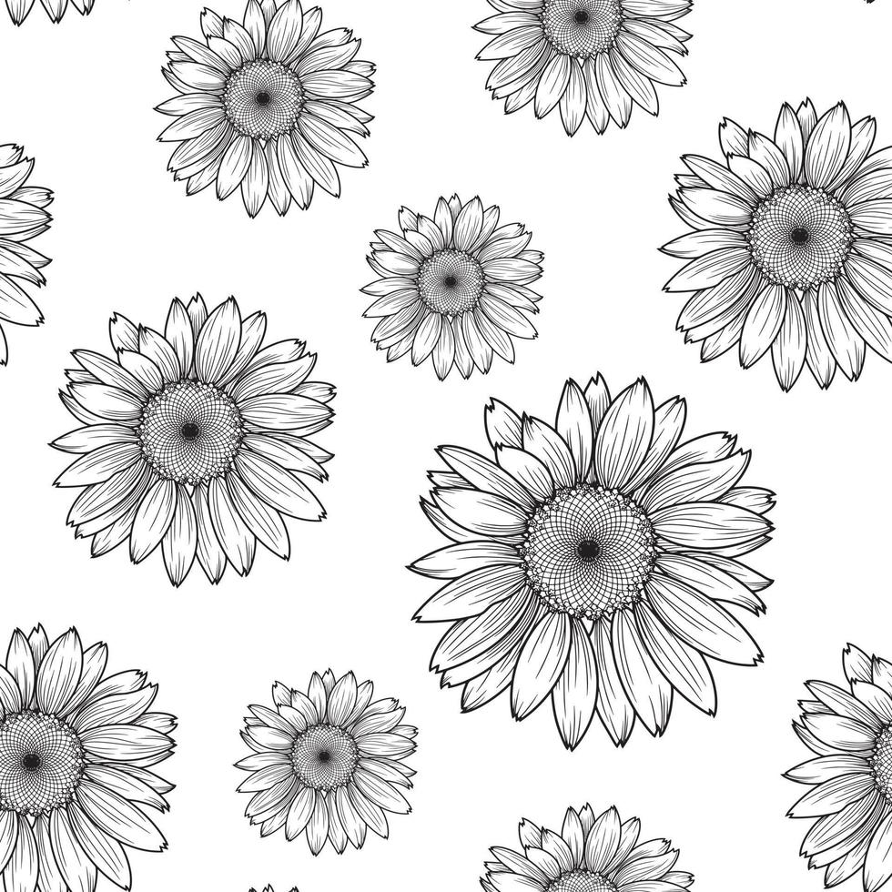 illustration vectorielle. fleurs de tournesol monochromes, marguerites sur fond transparent. modèle sans couture vecteur