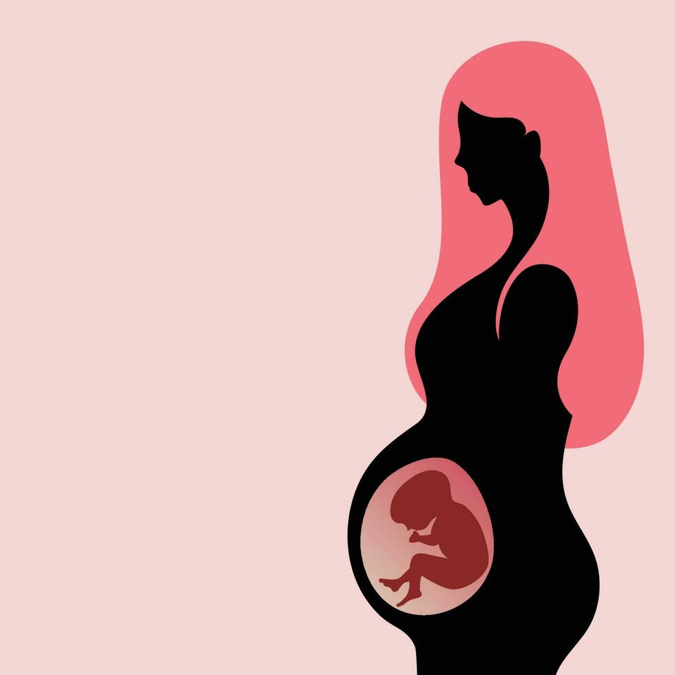 femme enceinte avec fœtus en développement vecteur