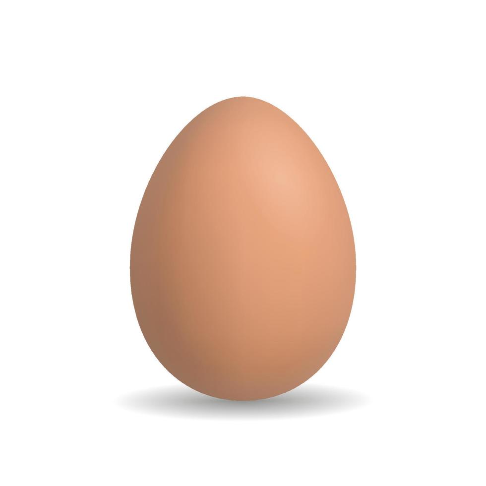 oeuf de poulet réaliste de vecteur isolé sur fond blanc. Illustration 3D.