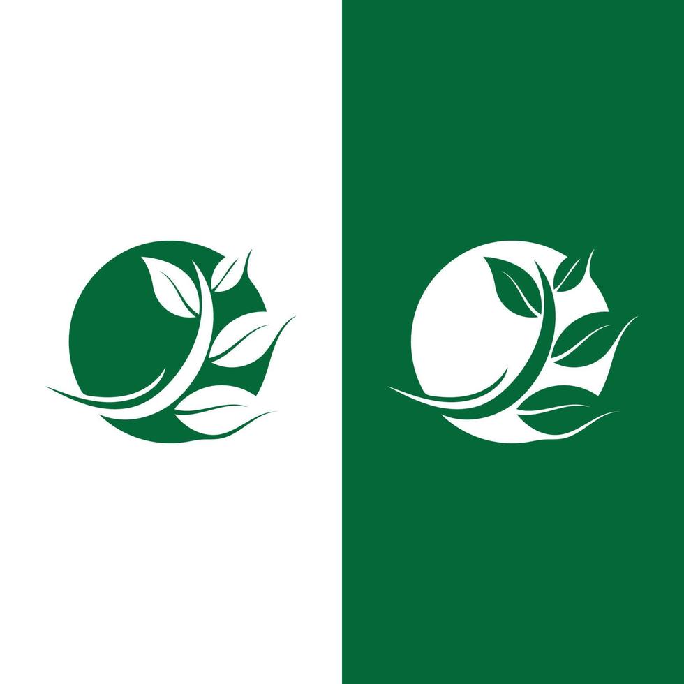 logos de l'écologie des feuilles d'arbre vert vecteur