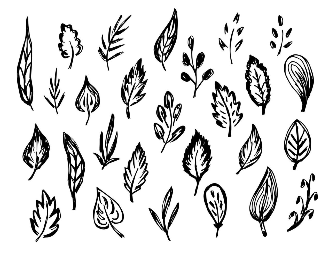 ensemble de griffonnages vectoriels noir et blanc sommaires à main levée. feuilles, branche, brindille, feuillage. éléments de la nature pour créer des motifs, du design. dessin à l'encre. vecteur