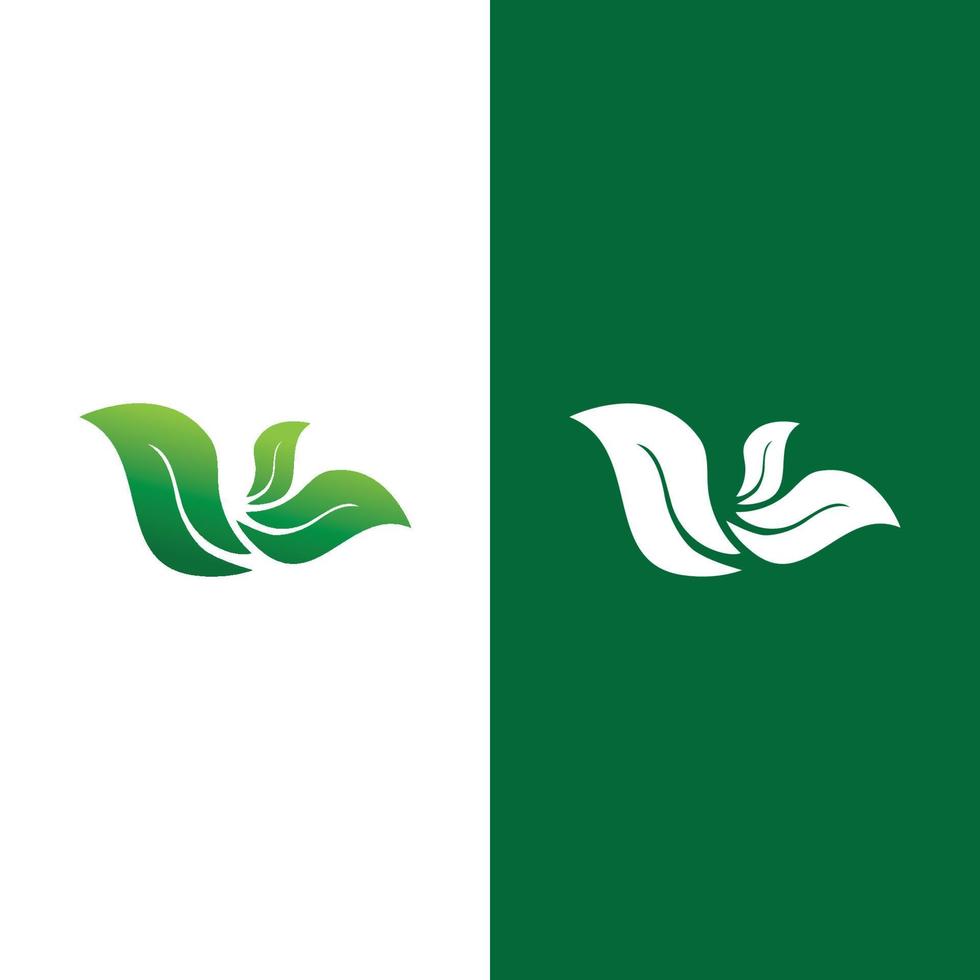 logos de l'écologie des feuilles d'arbre vert vecteur