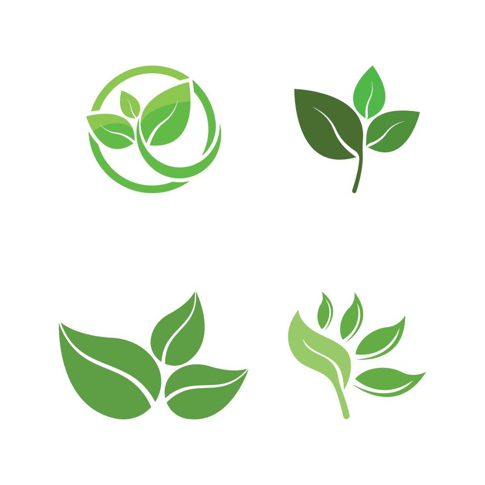 logos de l'écologie des feuilles d'arbre vert vecteur