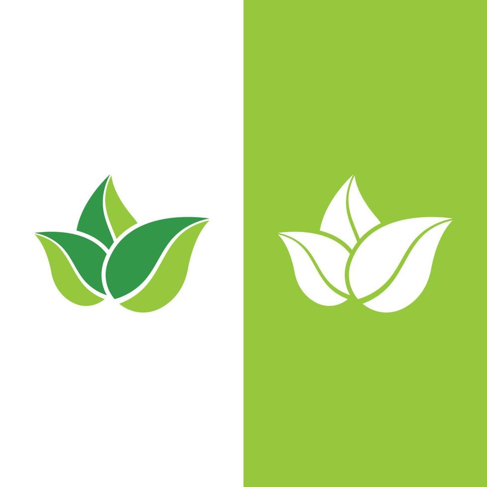 logos de l'écologie des feuilles d'arbre vert vecteur