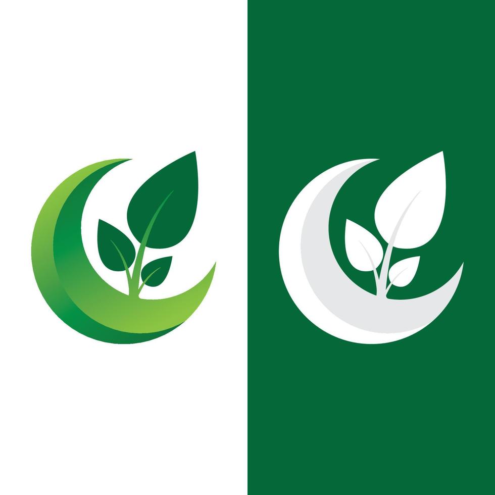 logos de l'écologie des feuilles d'arbre vert vecteur