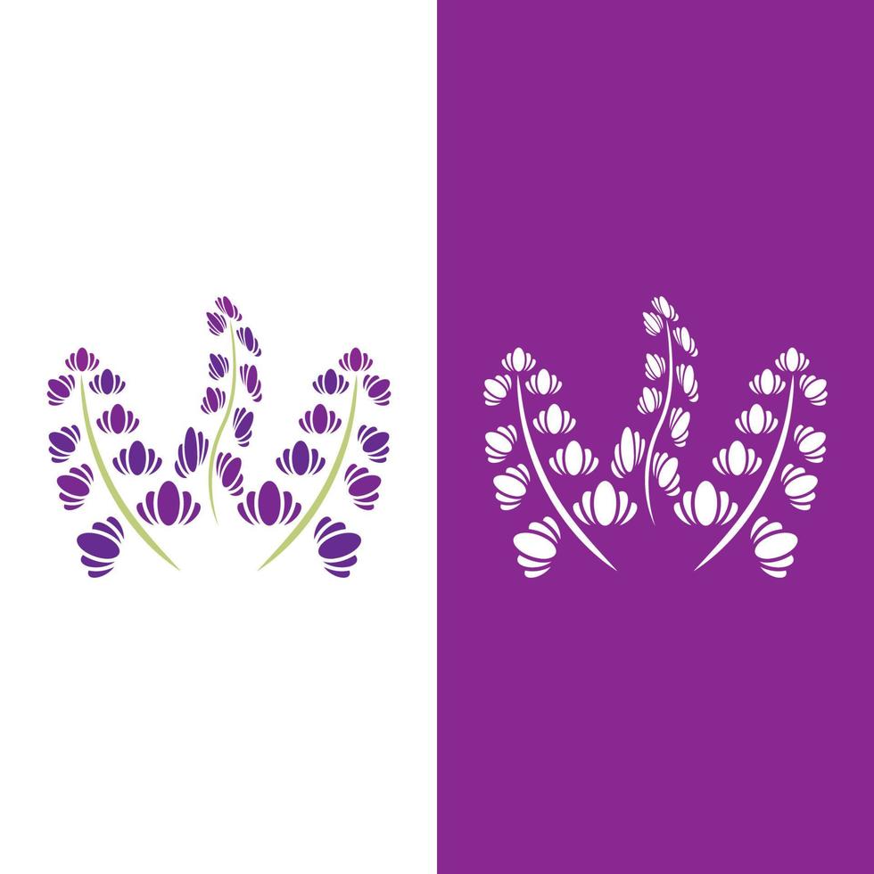 vecteur de logo fleur de lavande fraîche