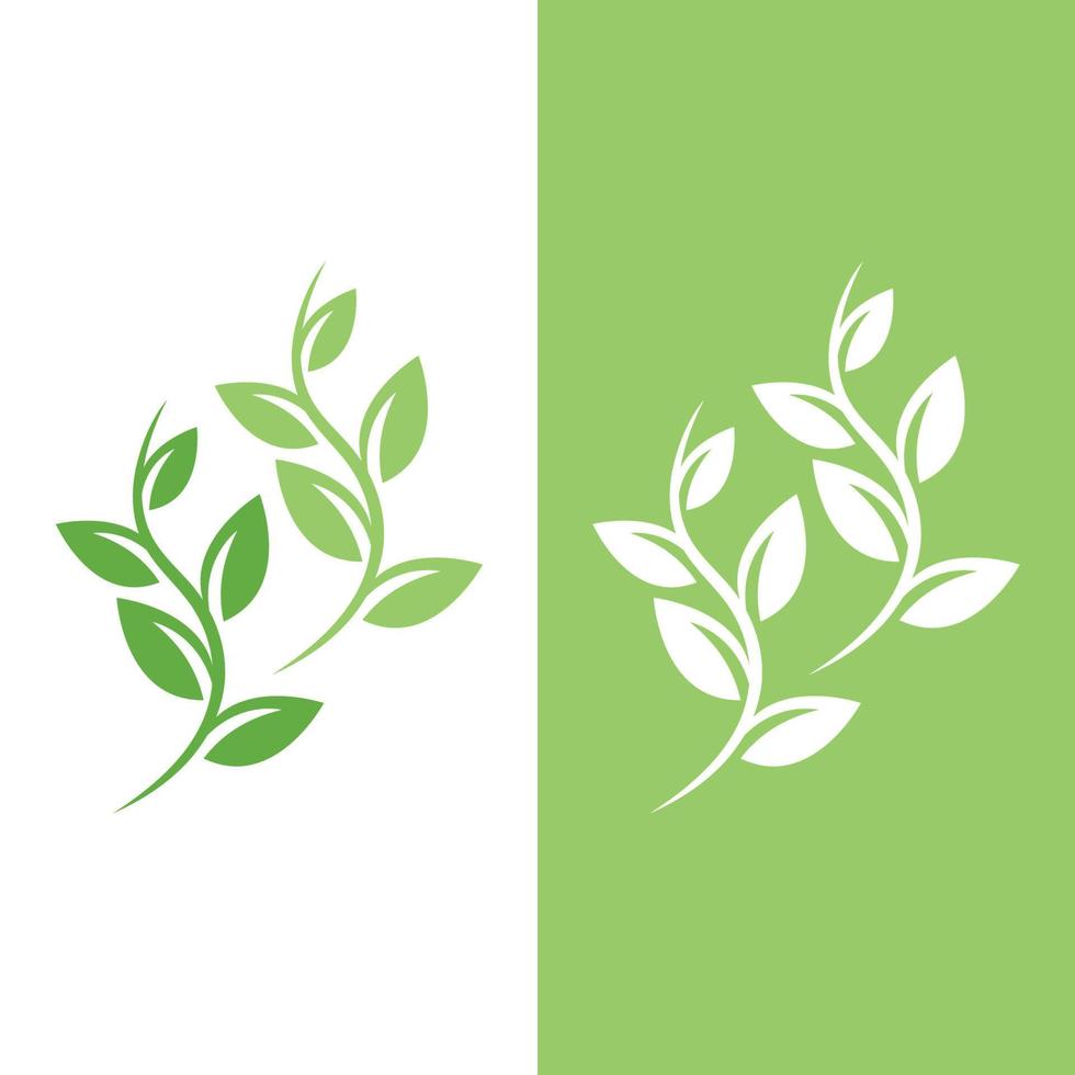 logos de l'écologie des feuilles d'arbre vert vecteur