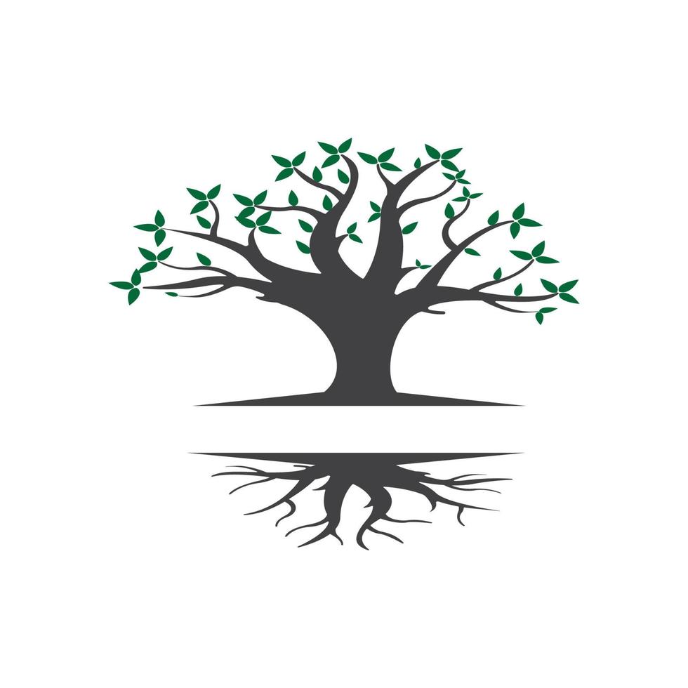 logo de la racine de l'arbre vecteur