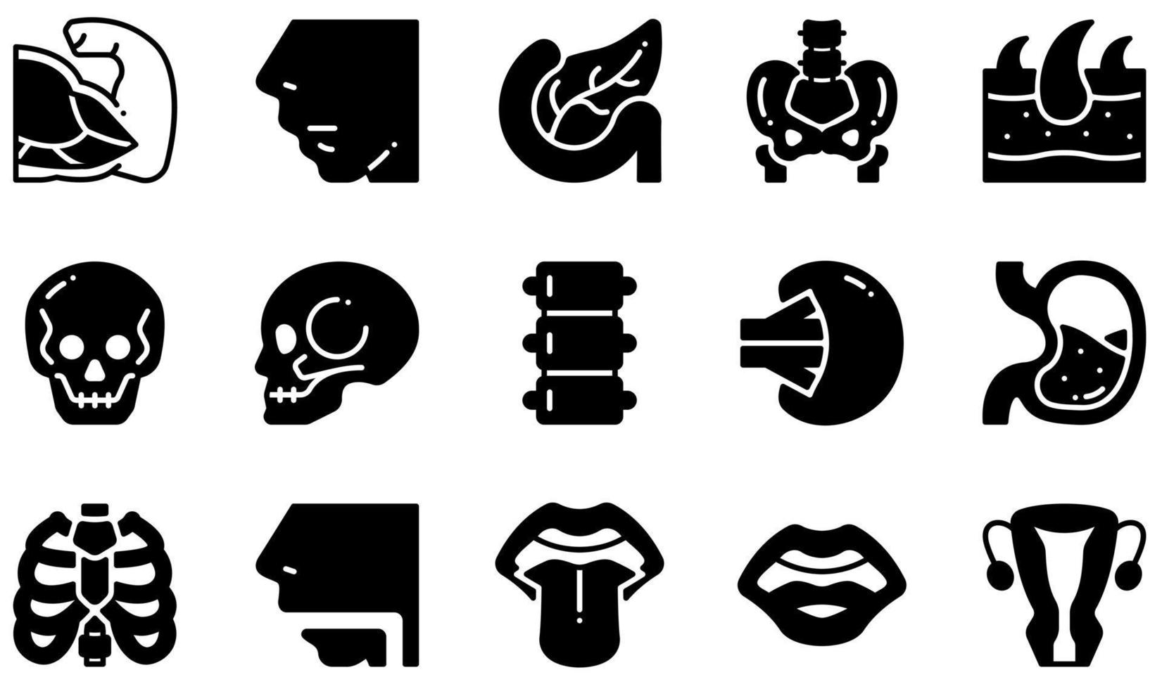 ensemble d'icônes vectorielles liées au corps humain. contient des icônes telles que le muscle, le nez, le pancréas, le bassin, le crâne, la peau et plus encore. vecteur