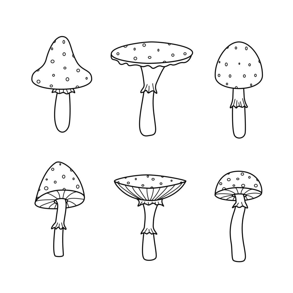 un ensemble de champignons vénéneux d'agaric de mouche. illustration vectorielle de l'icône de style doodle vecteur