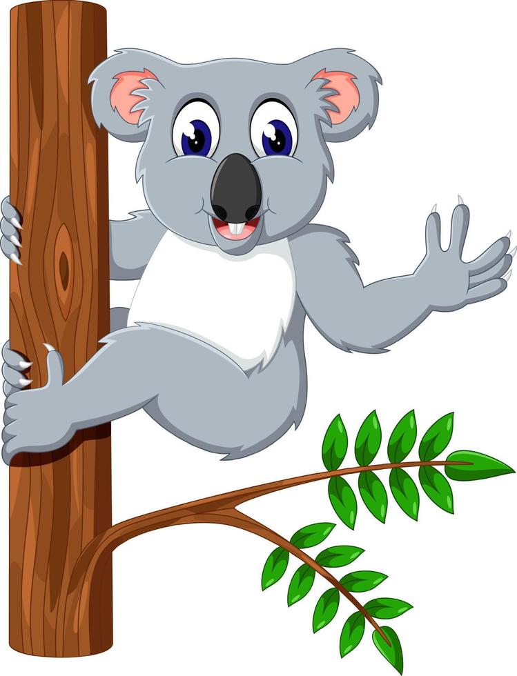 dessin animé mignon bébé koala vecteur