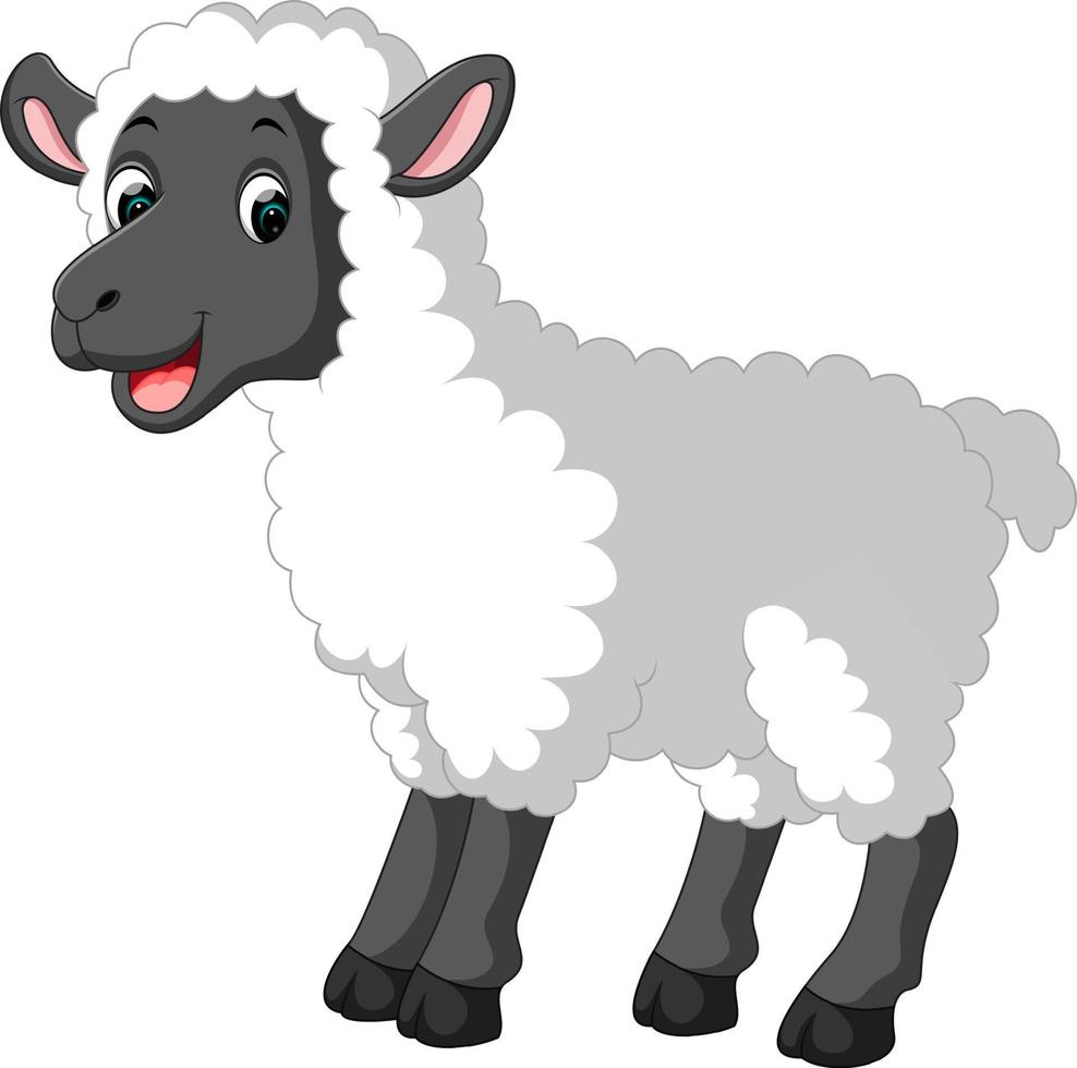 dessin animé mignon de mouton vecteur