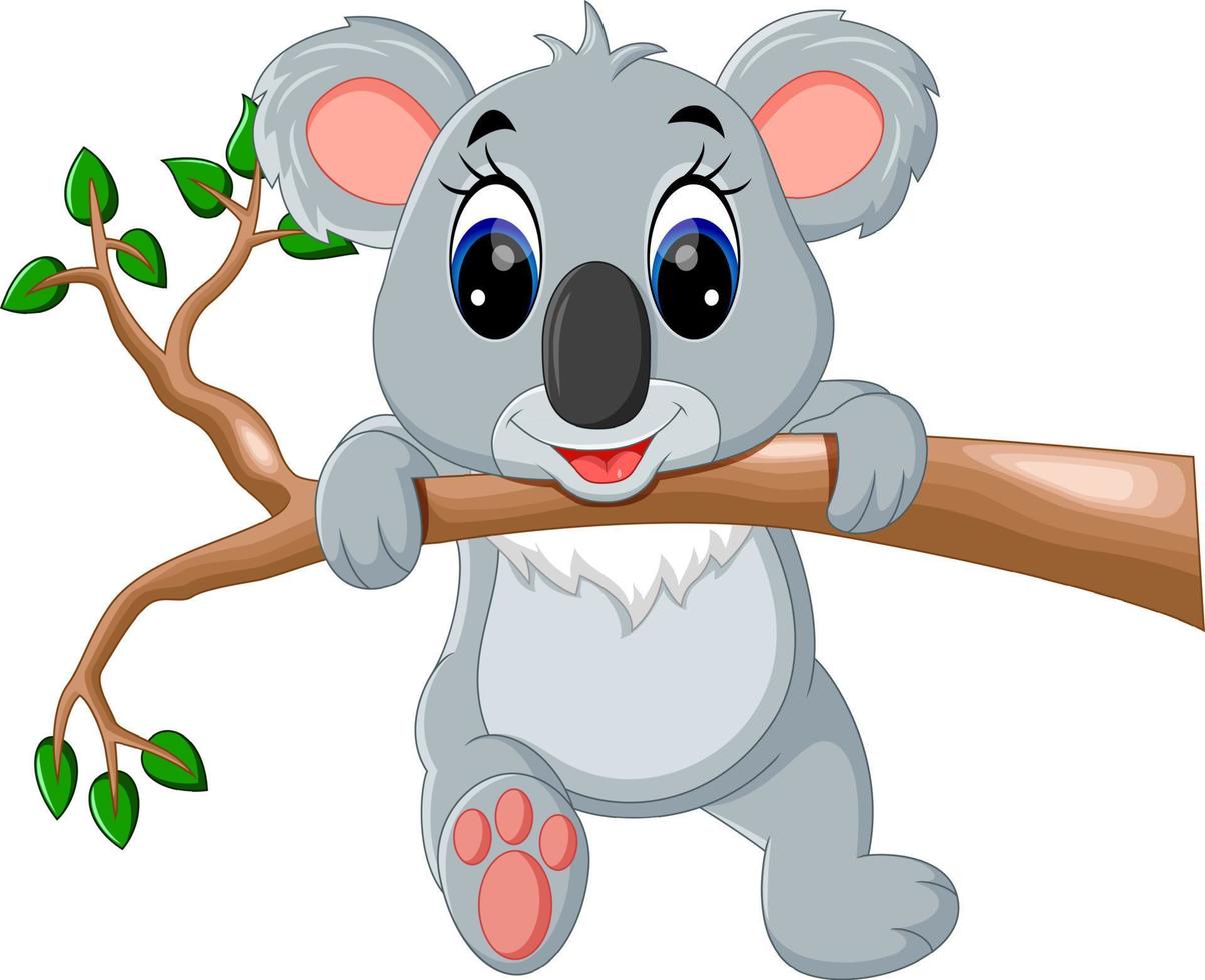 dessin animé mignon de koala vecteur