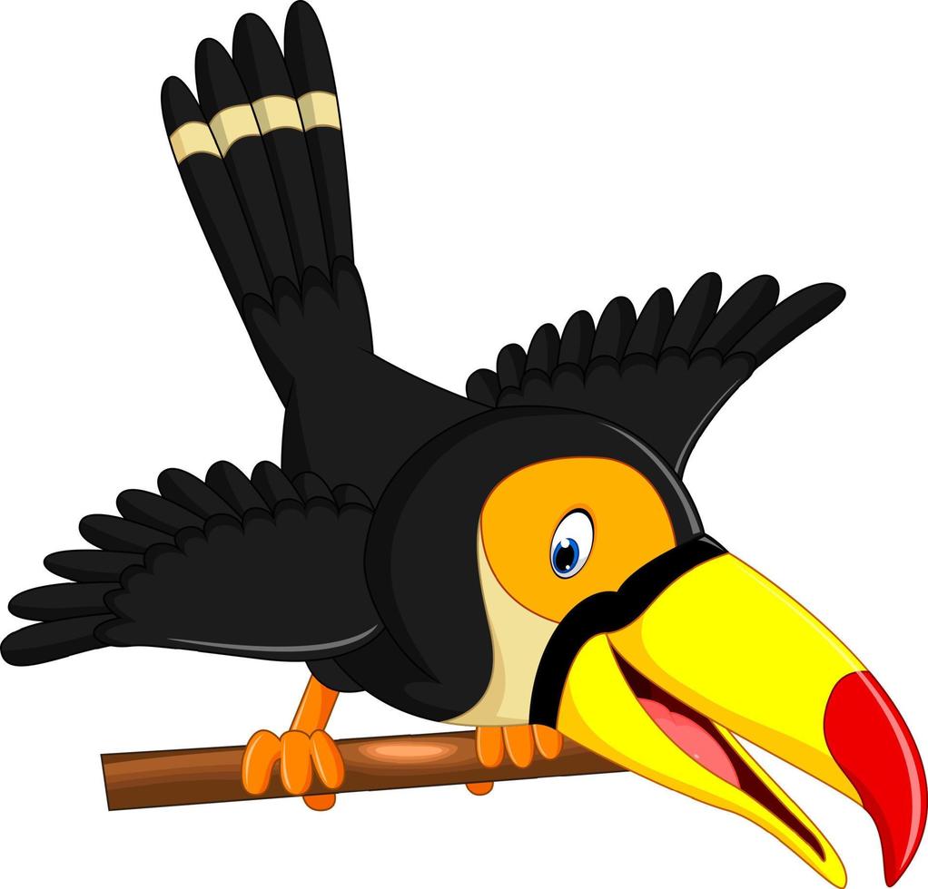 dessin animé oiseau heureux toucan vecteur