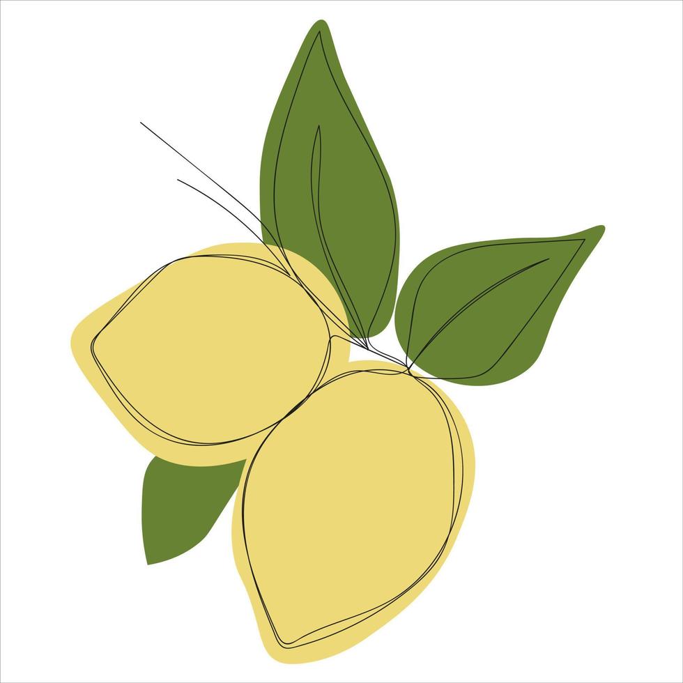 dessin au trait minimaliste branche de citron vecteur