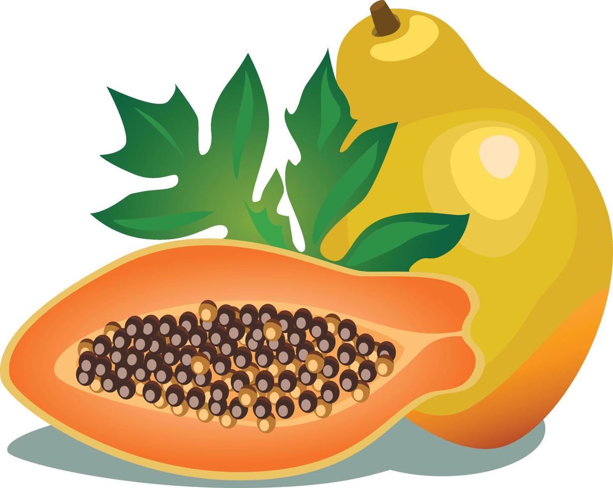 illustration vectorielle de fruits de papaye mûrs, entiers et coupés en deux, isolés sur fond blanc vecteur