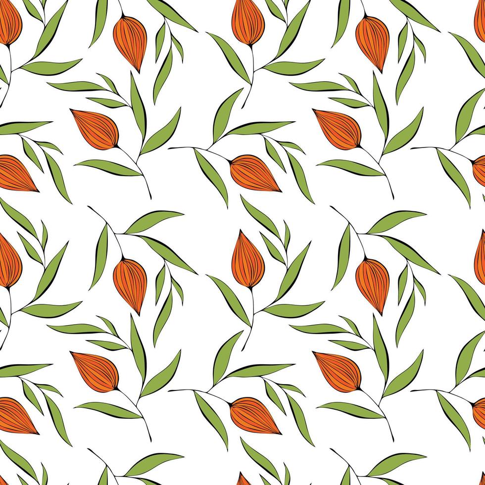 motif de griffonnage physalis sur fond blanc. illustration vectorielle vecteur